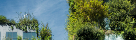 sustainability preferences