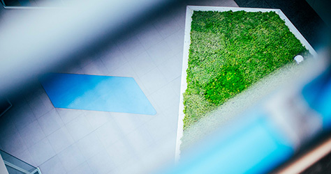 Sustentabilidade: serviços tecnológicos